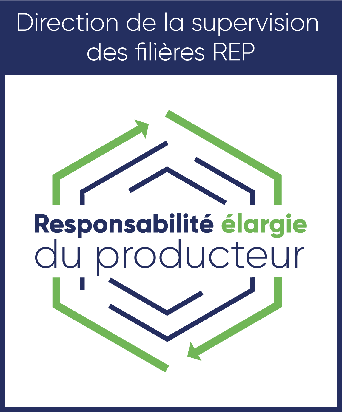 DSREP_Logotype_FR_RVB_Formulaire_gener