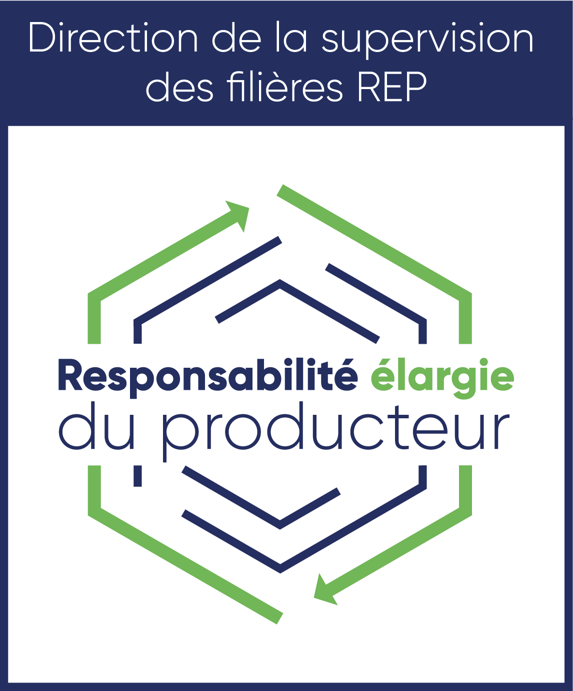 DSREP_Logotype_FR_RVB_sans-reserve